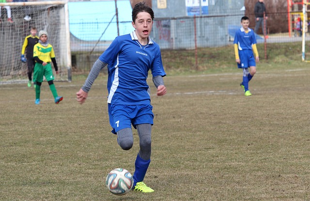 菲尼克斯的 菲尼克斯的