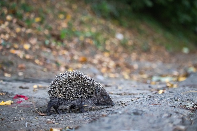 他们有效地 他们有效地