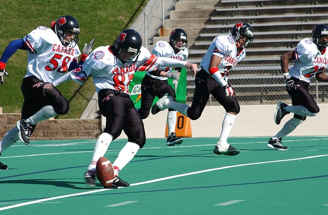 特蒙德带来 特蒙德带来