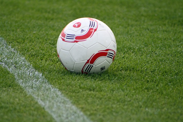 女性体育运 女性体育运