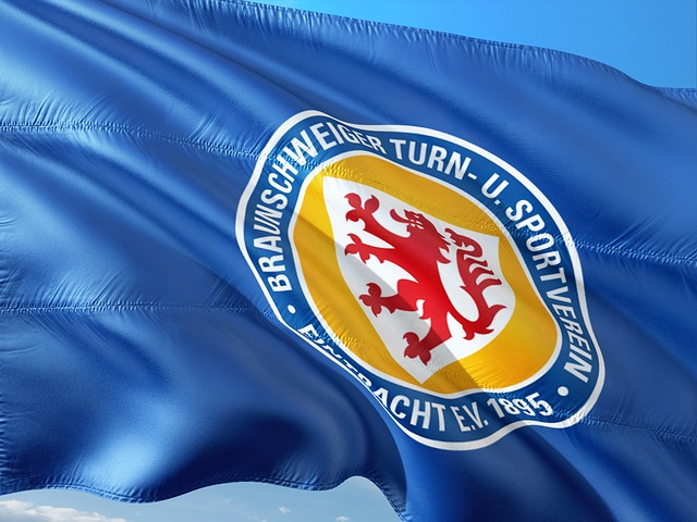 让我们看到 让我们看到