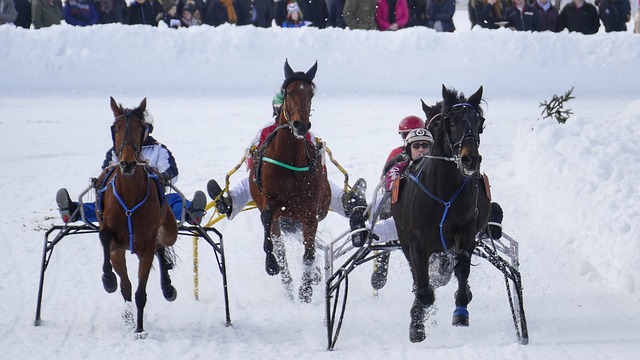 团队合作和 团队合作和
