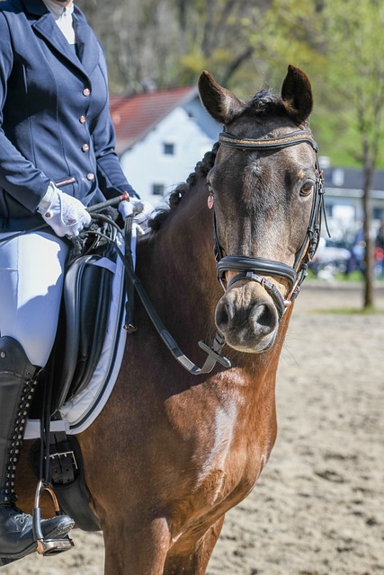 遭遇強敵阿 遭遇強敵阿
