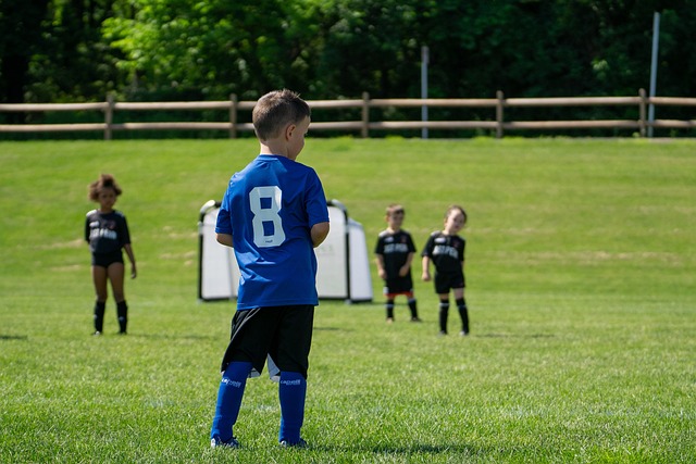 火箭主教练 火箭主教练
