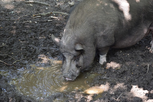 通常情况下 通常情况下