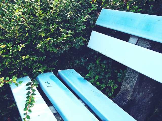 科索维奇则 科索维奇则