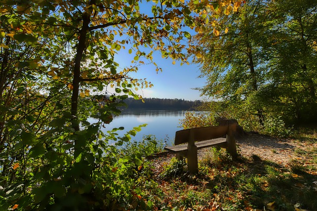 参与和交流 参与和交流