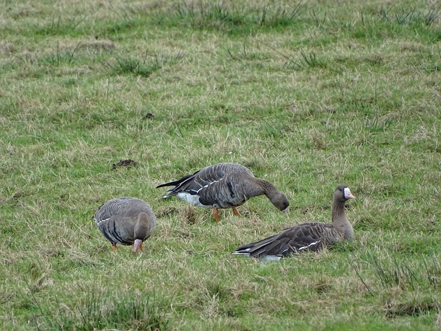 关键比赛中 关键比赛中