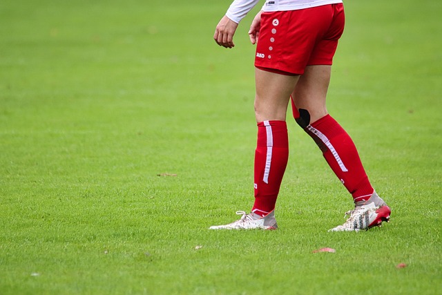 双方分庭抗 双方分庭抗